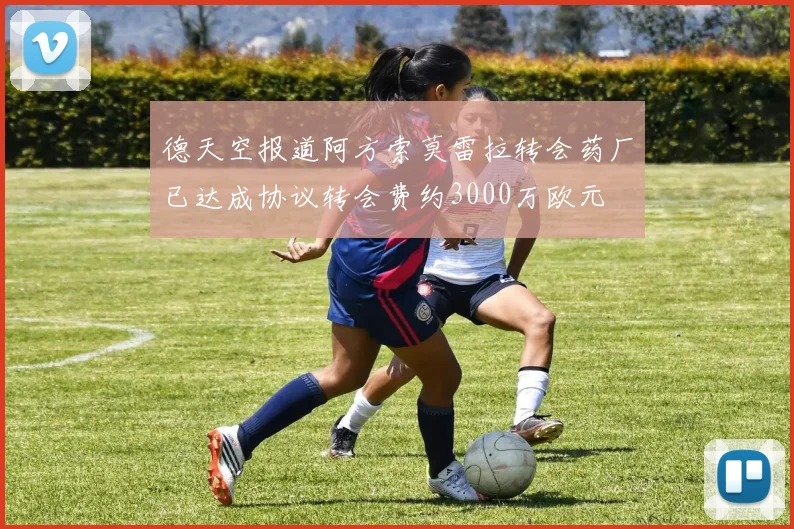 德天空报道阿方索莫雷拉转会药厂已达成协议转会费约3000万欧元
