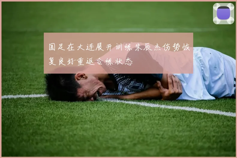 国足在大连展开训练朱辰杰伤势恢复良好重返合练状态