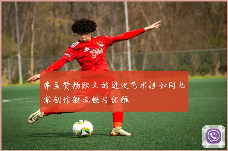 弗莱赞扬欧文的进攻艺术性如同画家创作般流畅与优雅